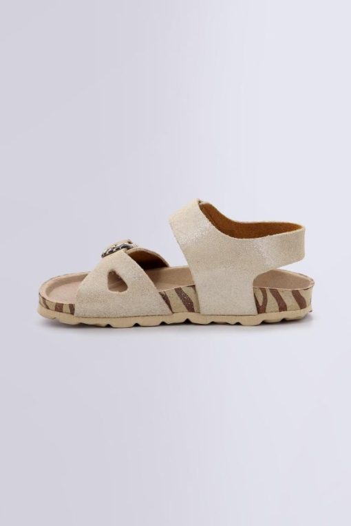 Ordercraze.shopea0b1e81d5 3