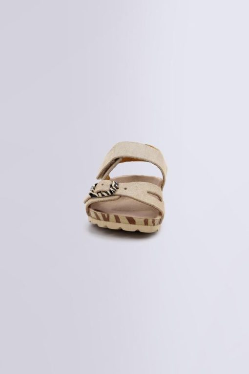 Ordercraze.shopea0b1e81d5 4