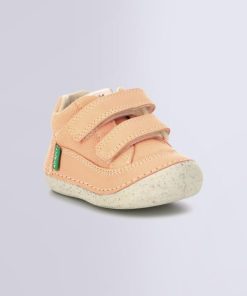 Ordercraze.shopeb7cb637cf 1