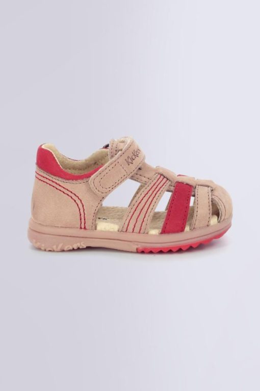 Ordercraze.shopebde3a26b7 2