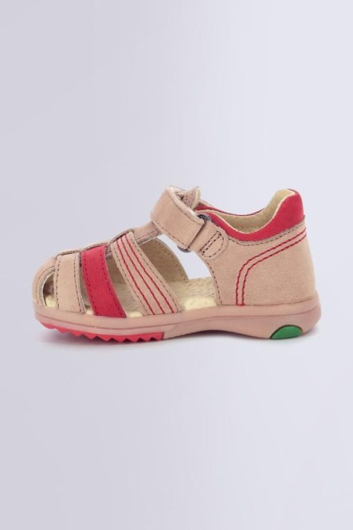 Ordercraze.shopebde3a26b7 3