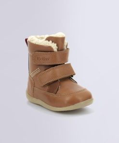 Ordercraze.shoped3c1cd361 1