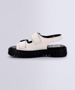 Ordercraze.shopedf139216c 3