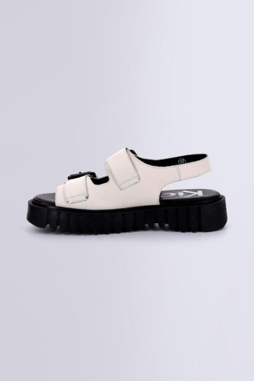 Ordercraze.shopedf139216c 3