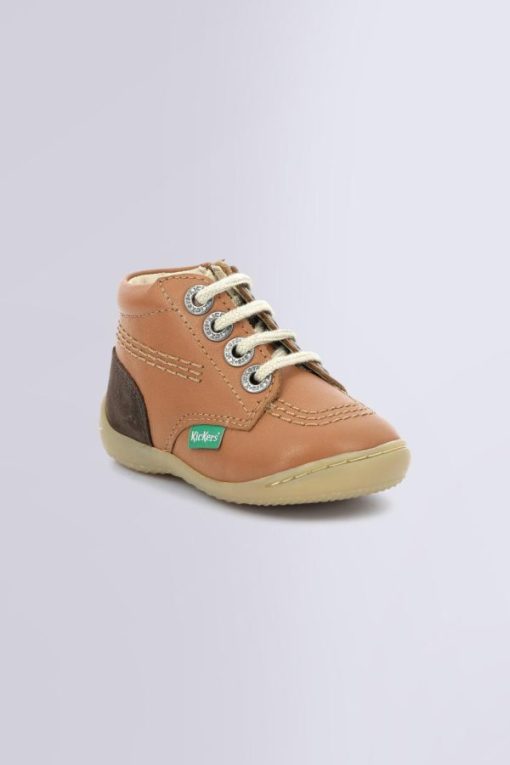 Ordercraze.shopefa117b8ea 1