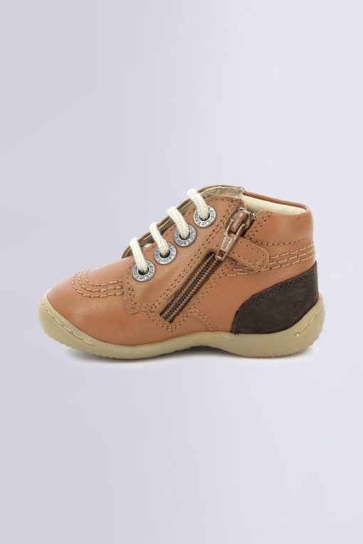 Ordercraze.shopefa117b8ea 3