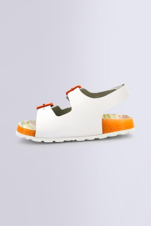 Ordercraze.shopefbd1001b1 3