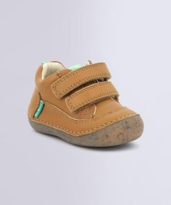 Ordercraze.shopf103690f51 1