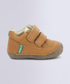 Ordercraze.shopf103690f51 2