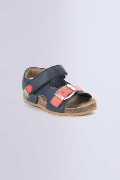 Ordercraze.shopf2688d6316 1