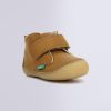 Ordercraze.shopf28cb7e0c8 1