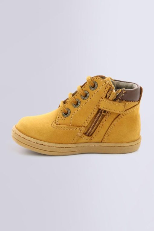 Ordercraze.shopf2b6f0db43 3