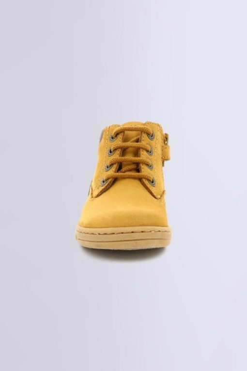Ordercraze.shopf2b6f0db43 4