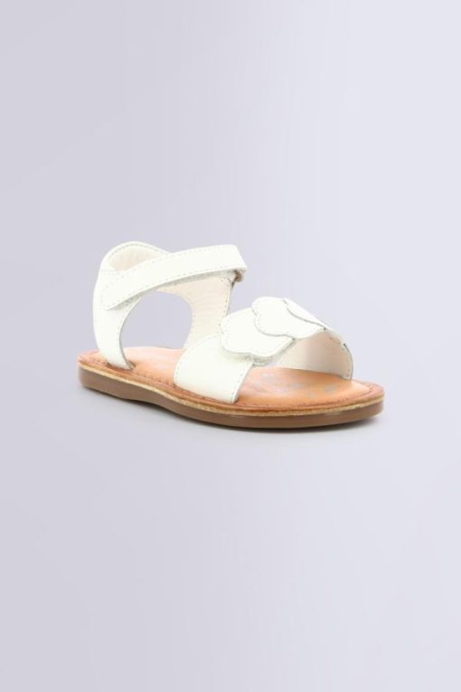 Ordercraze.shopf3ced515e8 1