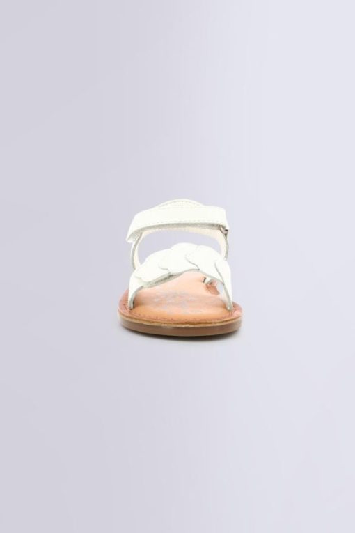 Ordercraze.shopf3ced515e8 4
