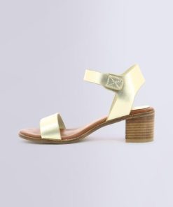 Ordercraze.shopf42aa81a08 3