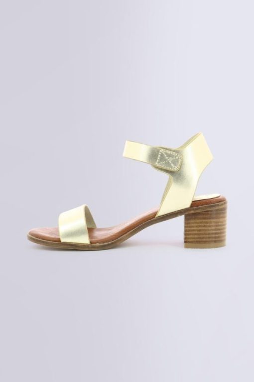 Ordercraze.shopf42aa81a08 3