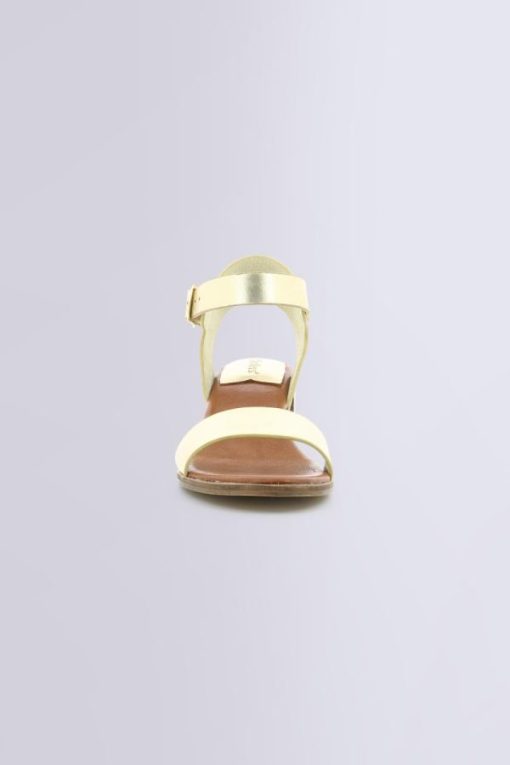 Ordercraze.shopf42aa81a08 4