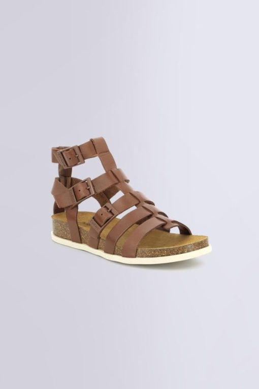 Ordercraze.shopf47b0bfa77 1