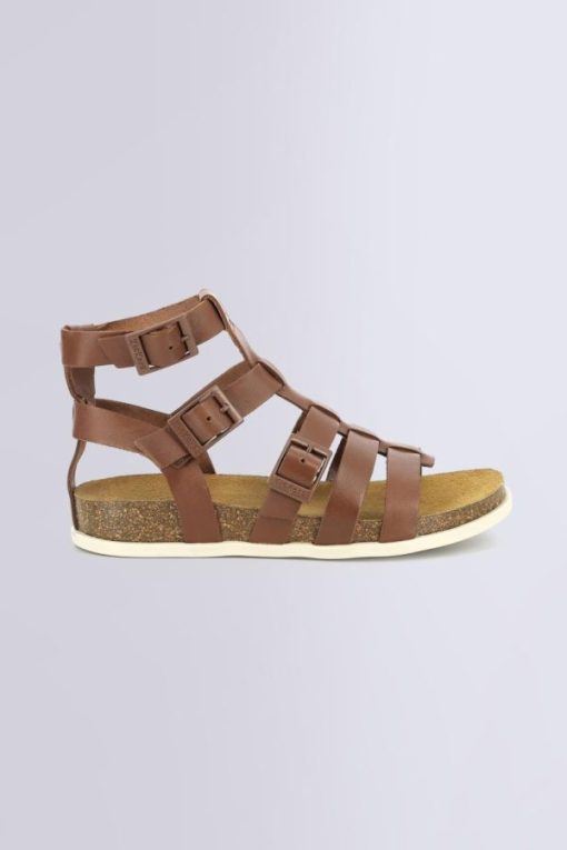 Ordercraze.shopf47b0bfa77 2