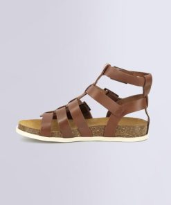 Ordercraze.shopf47b0bfa77 3