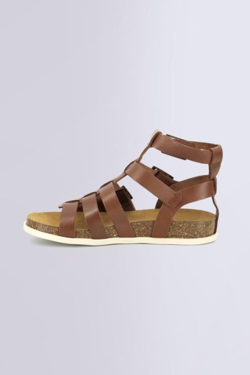Ordercraze.shopf47b0bfa77 3