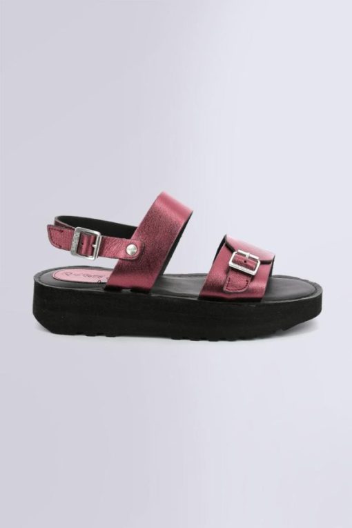 Ordercraze.shopf4982d4bcb 1