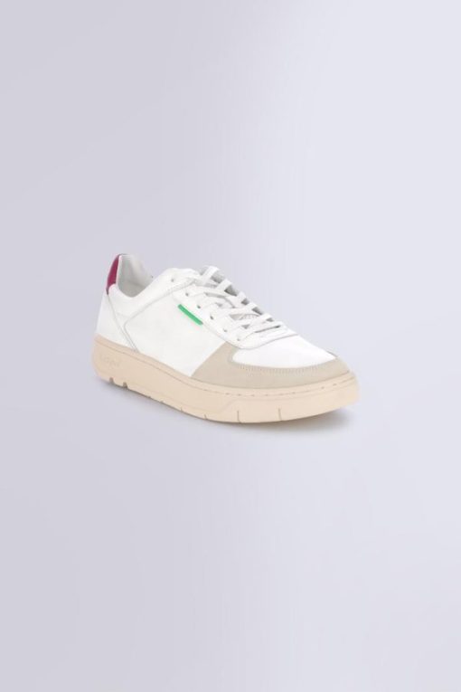 Ordercraze.shopf70b2e0941 1