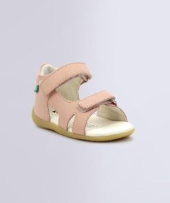 Ordercraze.shopf8bca94129 1
