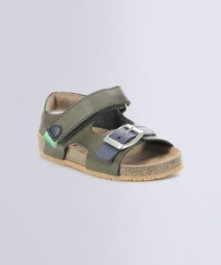 Ordercraze.shopf9567a19a5 1