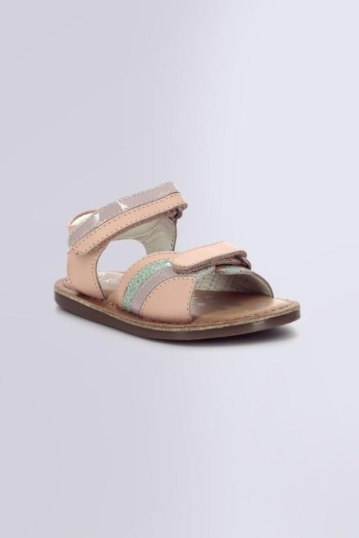 Ordercraze.shopfa47493e5a 1