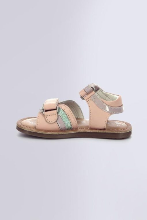 Ordercraze.shopfa47493e5a 3