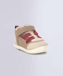Ordercraze.shopfb6f92cbed 1