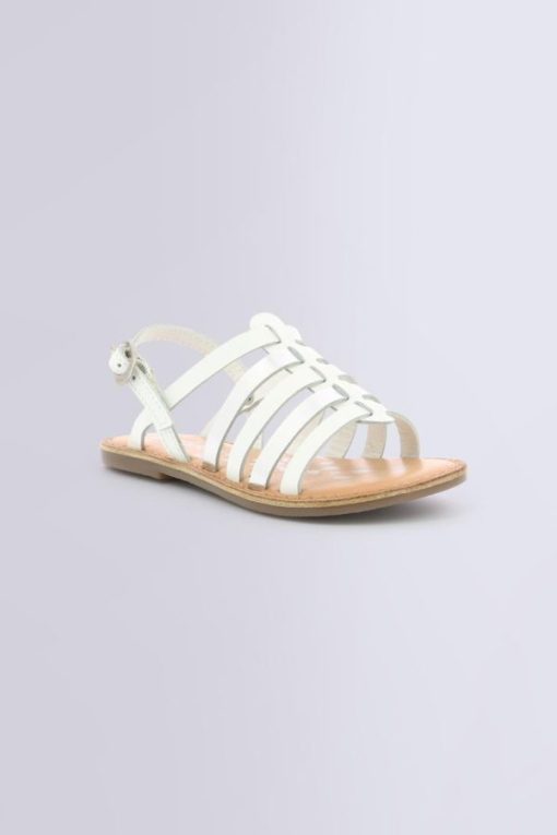 Ordercraze.shopfb9f9fe39d 1