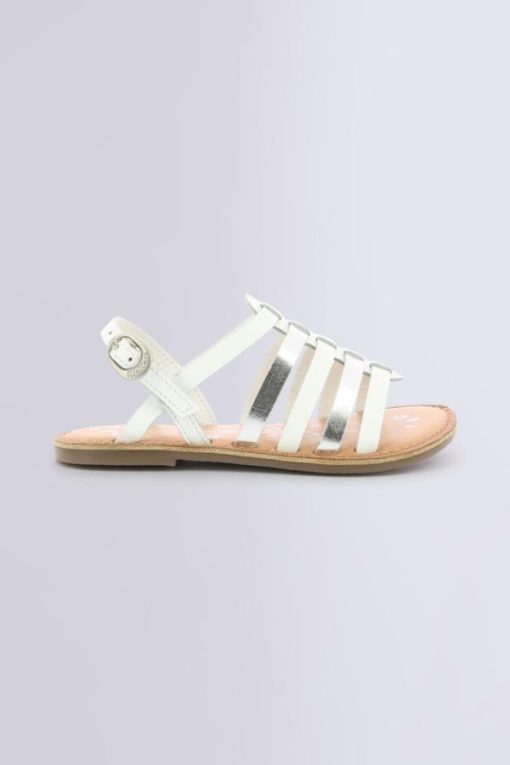 Ordercraze.shopfb9f9fe39d 2