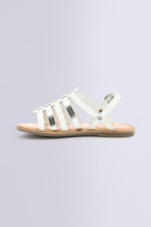 Ordercraze.shopfb9f9fe39d 3