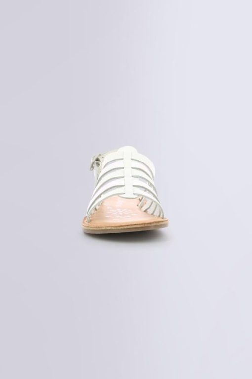 Ordercraze.shopfb9f9fe39d 4