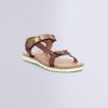 Ordercraze.shopfba8acf337 1