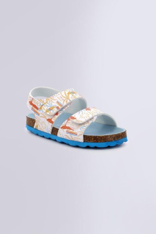 Ordercraze.shopfd788d9423 1
