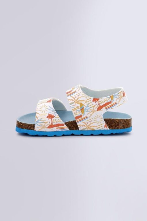 Ordercraze.shopfd788d9423 3