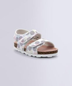 Ordercraze.shopfe1ba59b45 1
