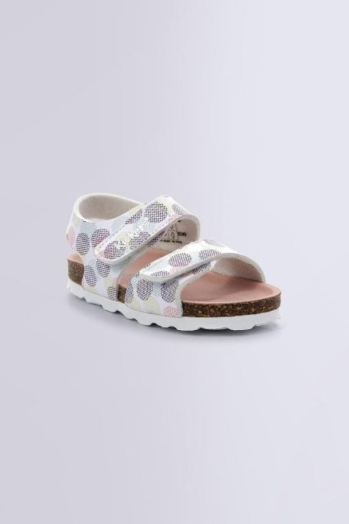 Ordercraze.shopfe1ba59b45 1