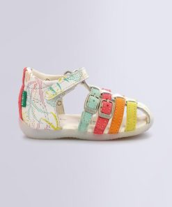 Ordercraze.shopfe90cba18b 2